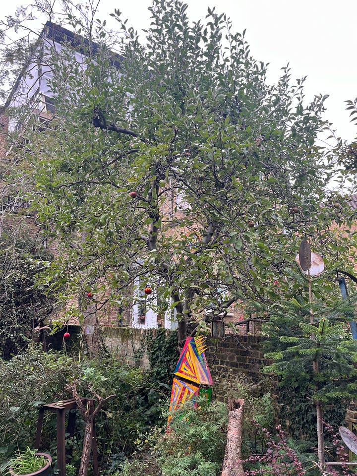 1. A local generously allowed us to glean from his apple tree; 2. Bags of delightful cox-like apples; 3. Using the small table press on the collected apples the very same day; 4. Waitrose advertising 'Best of British Apples' but one shelf has apples from New Zealand, another France, and another Chile.