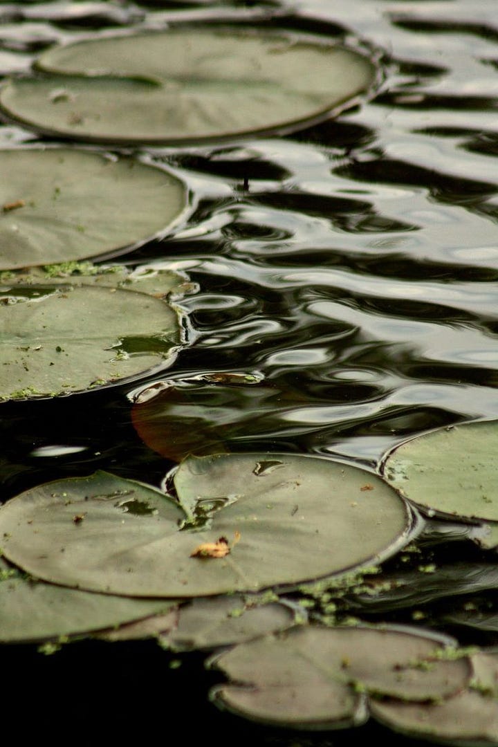 Rituals and nature, both picture have a feeling of calm and stillness. Wellbeing, selfcare