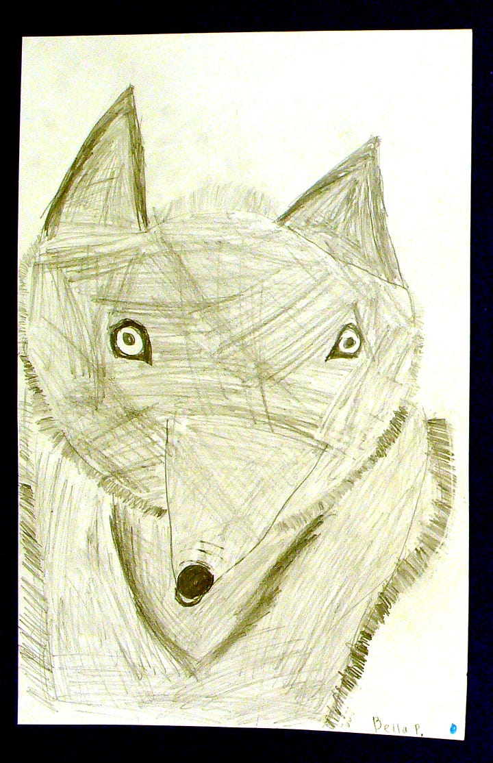 Young artists' drawings of wolf portraits in Sherry Killam Arts.