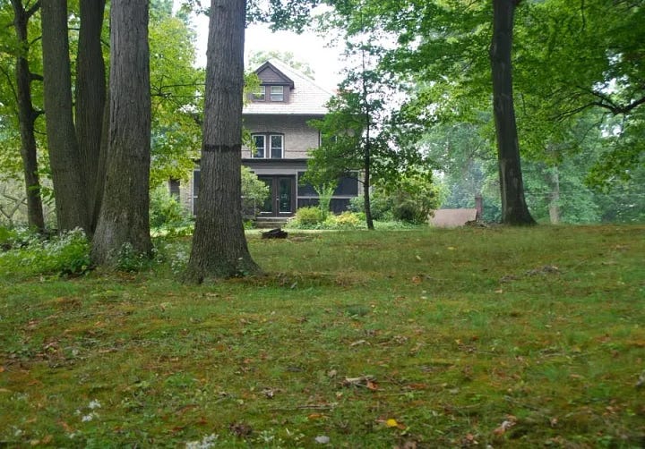 Before photos of the Woodland Garden at Havenwood: We had many lovely white oak and red oak trees, a beech, a hop hornbeam, a mountain laurel, and some bluets hiding in the moss and Trillium in the rocks. There was no hedging around the property, middle layer or understory, or ground layer.