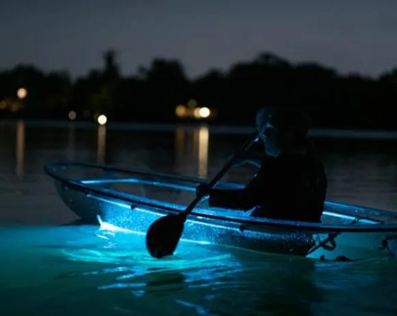 bioluminescent bay produces a glow in the water