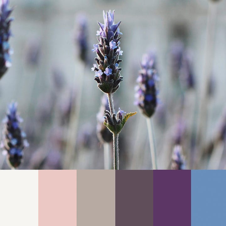 Photos of flowers with swatches of colors inspired by the photo