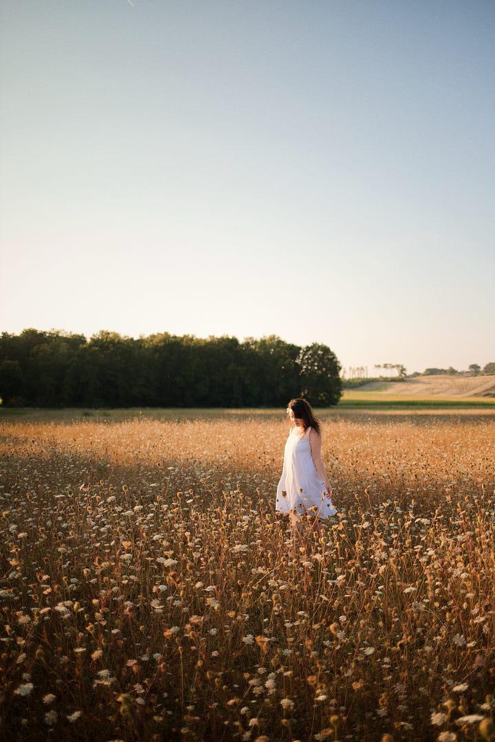 images of a late summer meadow in France at golden hour. Sara wears a white cotton dress.