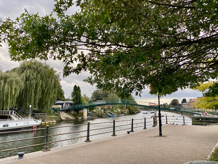 The river Thames inTwickenham