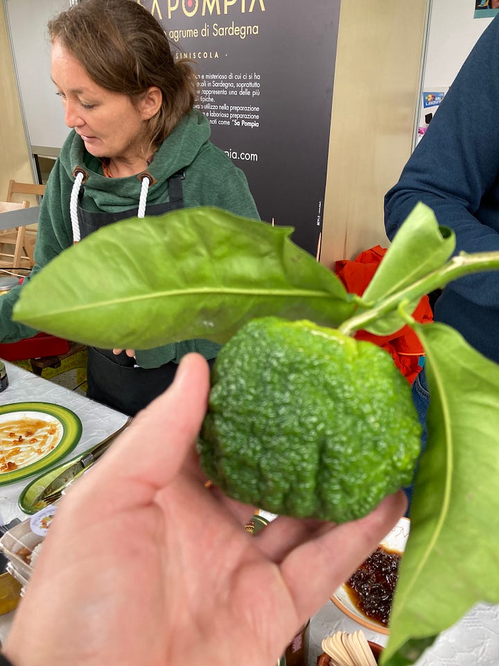 Images taken of pompia, a knobbly, round green fruit; some jars containing pompia marmalde and the mother and son team who make the product.