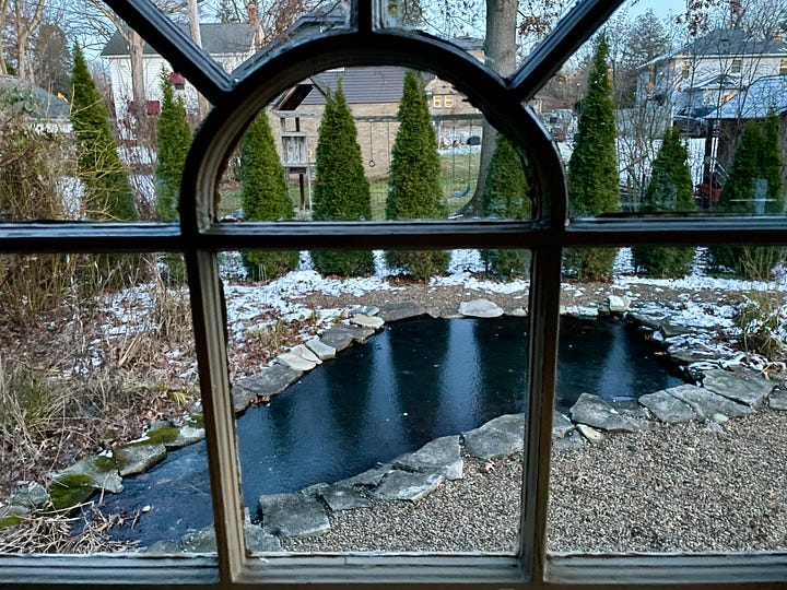 Lights in the Potting Shed, and my first winter looking out these vintage windows at our pond.