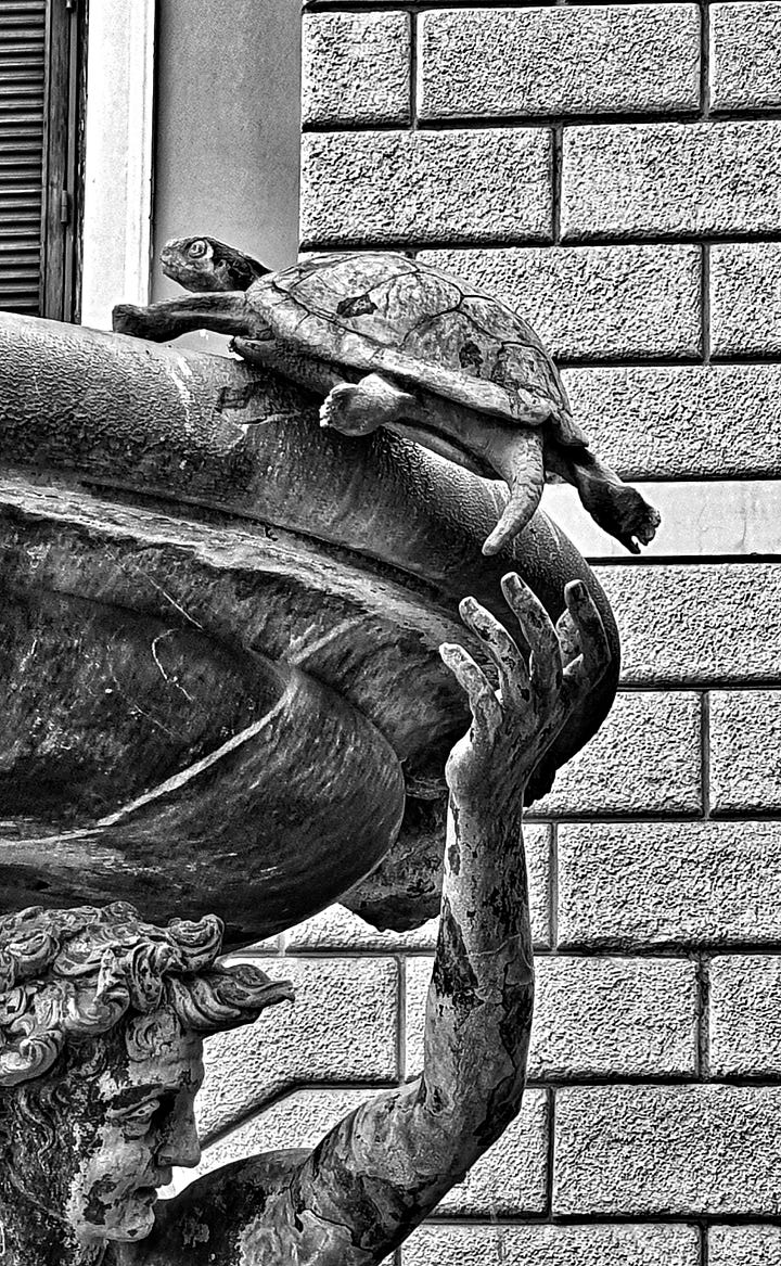 Here are some shots of Rome Fountains