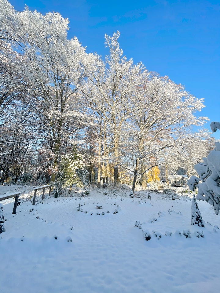 Our first snow at Havenwood on November 1st