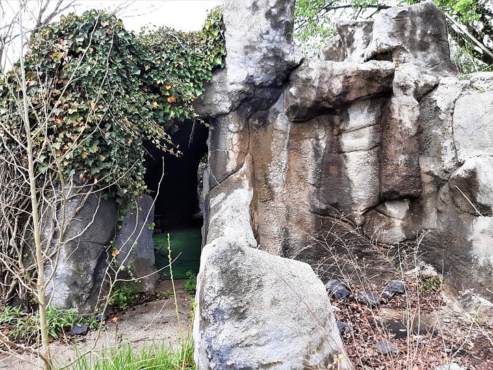 Vines hang down on what was once a cave at the miniature golf course.