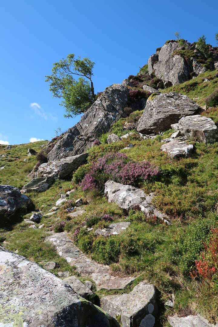 wild camping carneddau snowdonia