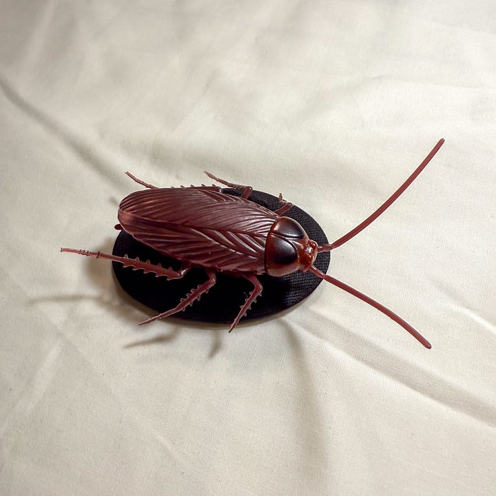A fake plastic cockroach on a magnetic disk