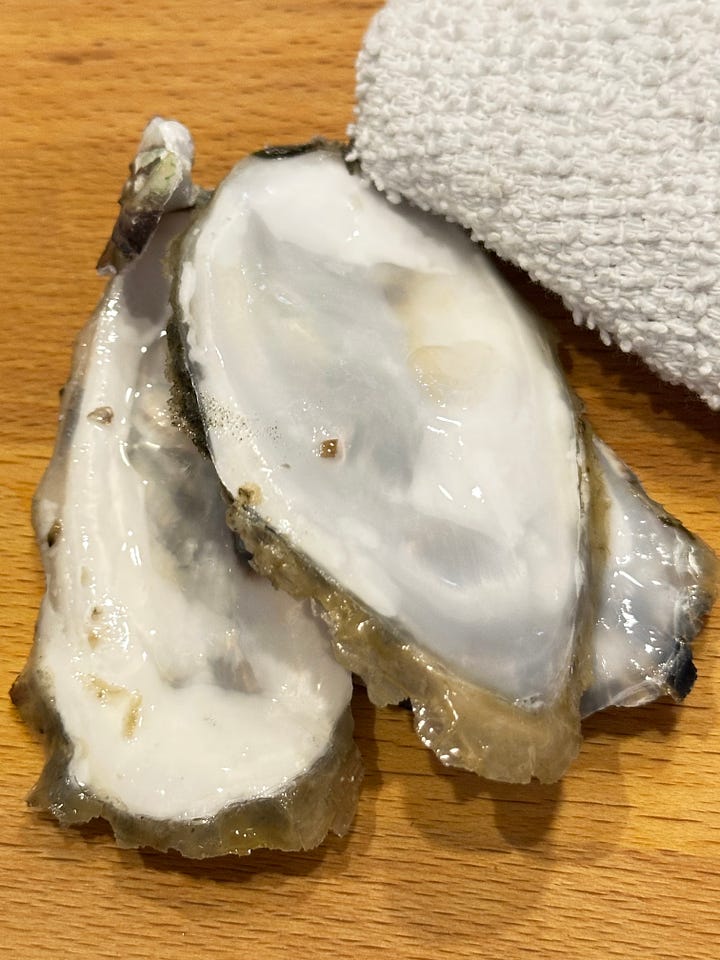 Oyster shells empty, oyster shells full and oyster shucking knife