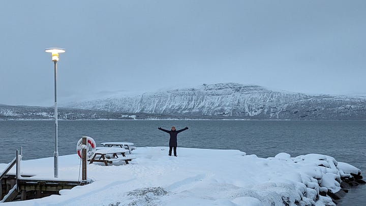 A line of cherry-red wooden cabins sits in the falling snow, and a woman stands at the end of a snow-covered pier, the fjord and snow-topped mountains behind her upstretched arms.