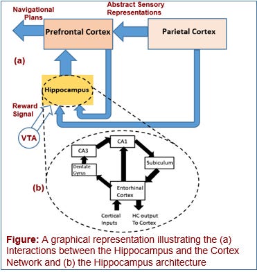 A Comprehensive Brain-inspired Computational Model for Spatial Navigation