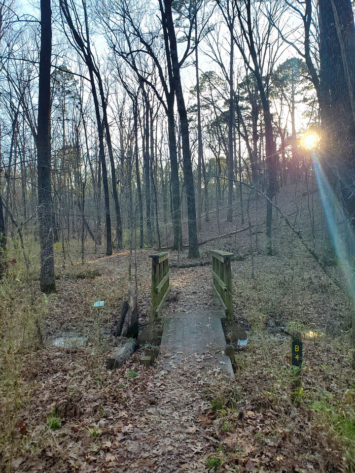 Spring Break at Cane Creek State Park - On the Journey
