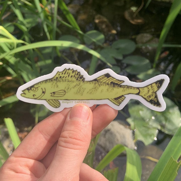 Bass fish sales jibbitz
