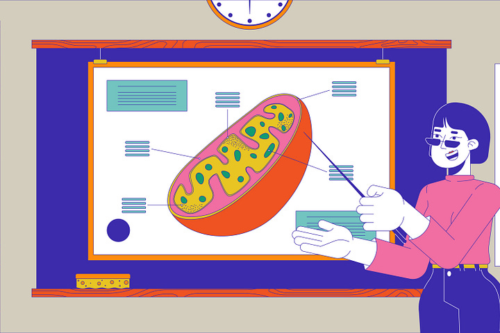 The Cellular Engine