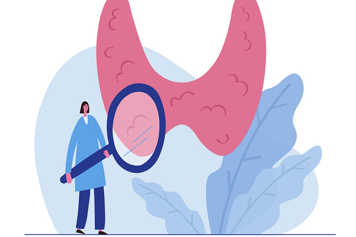 Your Thyroid Is Running the Show. Most Doctors Only Check One Number.