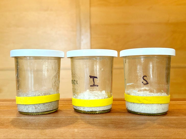 Continuous Sourdough Starter Maintenance Without Friction (or