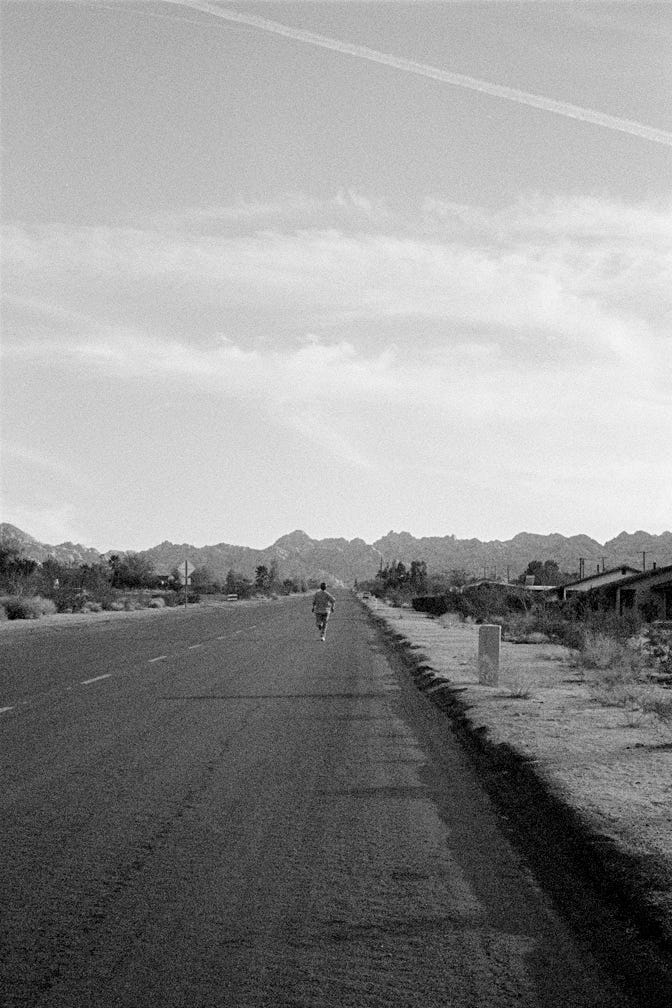 Dogs Chasing My Car in the Desert