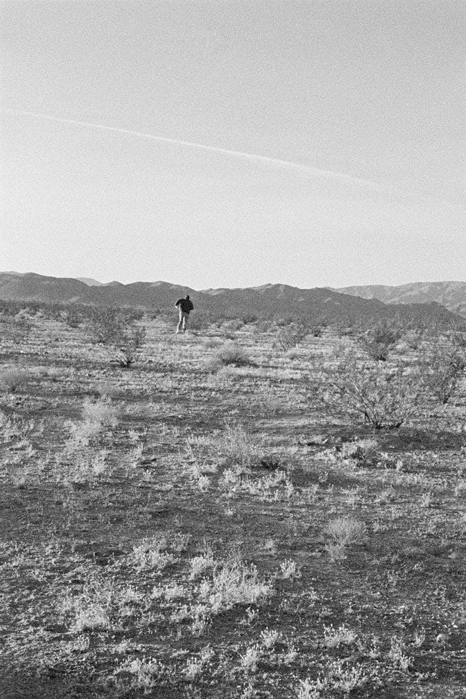 Dogs Chasing My Car in the Desert