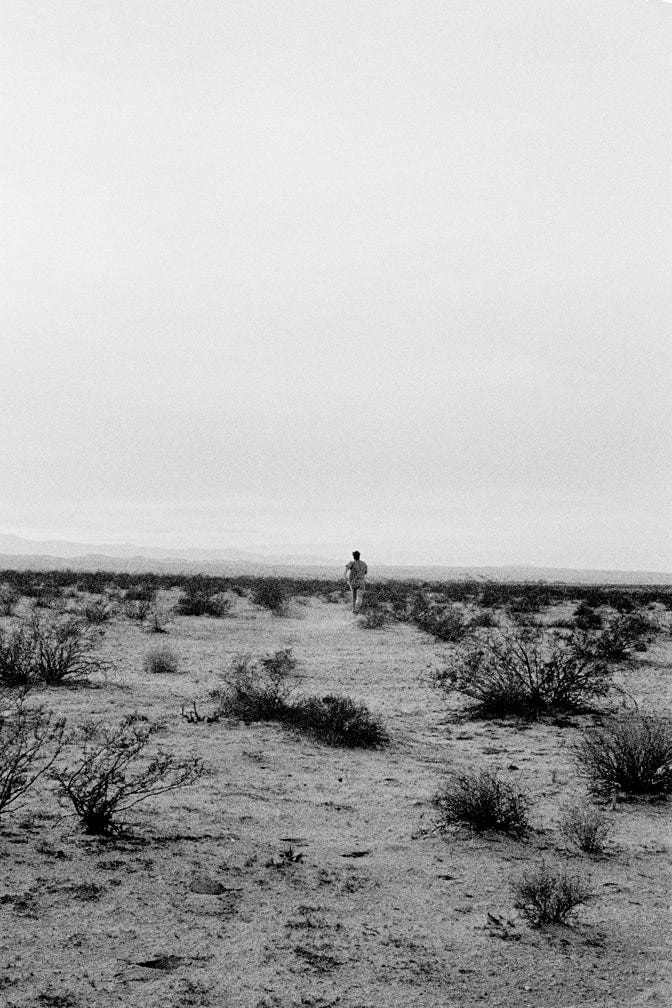 Dogs Chasing My Car in the Desert