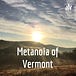 Metanoia of Vermont Reflections