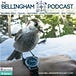 The Bellingham Podcast 
