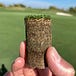 The ct_turf newsletter