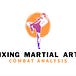 Mixing The Martial Arts
