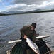 Ireland on the Fly