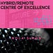 Hybrid/Remote Excellence
