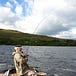 Ireland on the Fly