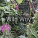 Wild Way: Gardening with Wildlife by Jack Wallington