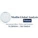 Modlin Global Analysis Newsletter