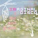 IMAGINAL DISCO (A REAL PIECE OF WORK)