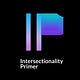 The Intersectionality Primer by Del Johnson & Nisreen Hasib
