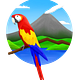 The Costa Rica Daily: Costa Rica News & Travel