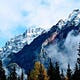 MountainFIT Newsletter