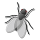 The Municipal Fly