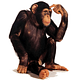 Ad Nausica