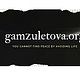 Misha from gamzuletova.org