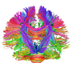 Psychofauna