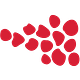 Marketing Seeds