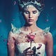Updates from the Faery Underground