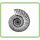 A Spiral Space 