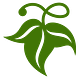 Kudzu Rants from Jamie Chambers