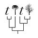 treethinking