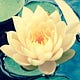 Explore Movement & Discover Amazing YOU
