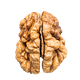 the unremarkable brain